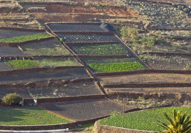 dağlık bölgede kırsal: lanzarote alanları