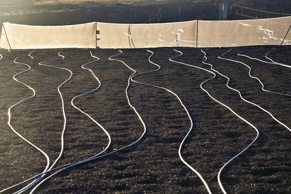 Sistema de irrigação de água em um campo com terra lapili — Fotografia de Stock