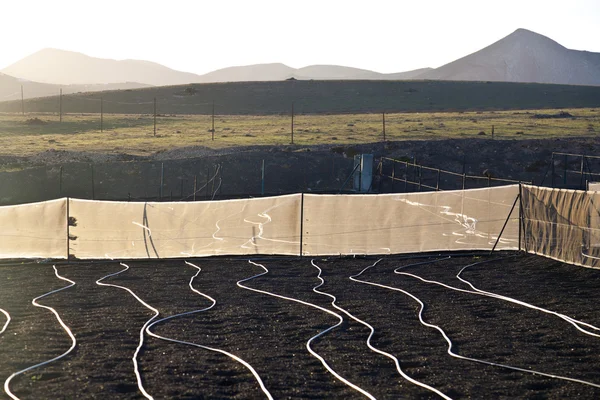 在一个字段 lapili 地球上的水灌溉系统 — 图库照片