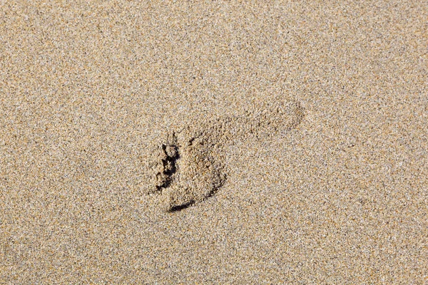 Человеческий след в пляжном песке — стоковое фото