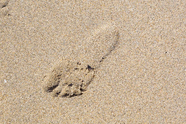 Menselijke voetstap in het zand van het strand — Stockfoto