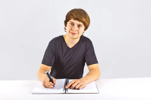 Cute pupil doing homework for school — Stock Photo, Image