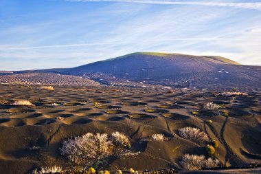 lanzarote, volkanik ashh bir şarap bölgesi içinde La geria manzara