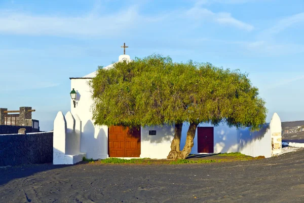 美丽教堂在葡萄酒领域 la 阿尔及利亚、 兰萨罗特岛. — 图库照片