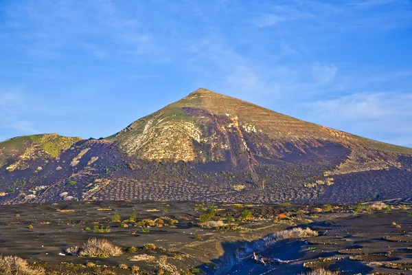 Fekvő La Geria Lanzarote, a bor terület a vulkáni ashh — Stock Fotó