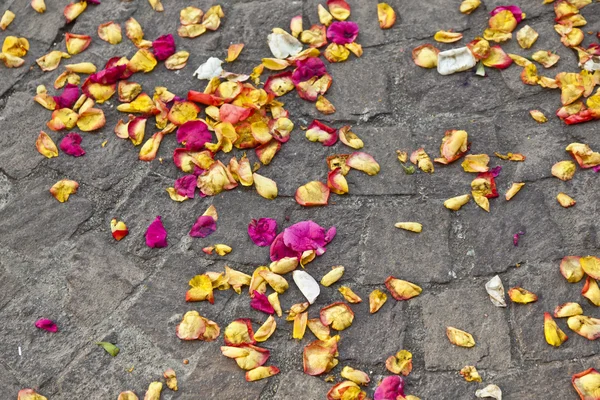 Blüten von Blumen, die nach einer Trauung auf dem Boden liegen — Stockfoto