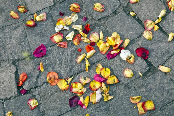 Fleurs de fleurs couchées par terre après une cérémonie de mariage — Photo