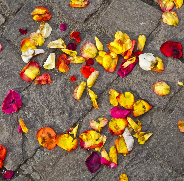 Fioriture di fiori sdraiati a terra dopo una cerimonia nuziale — Foto Stock