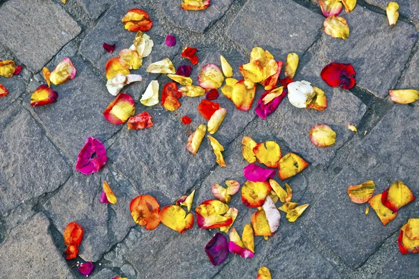 Fleurs de fleurs couchées par terre après une cérémonie de mariage — Photo