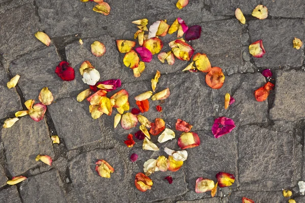 Blossoms of flowers lying on the ground after a wedding ceremony — Stock Photo, Image