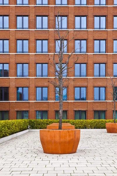 Fachada de edificio de ladrillo moderno con un árbol en frente —  Fotos de Stock