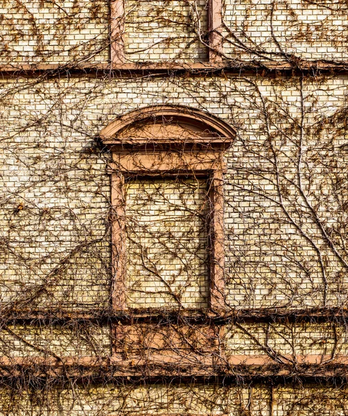 Фасад старого будинку з вікном — стокове фото