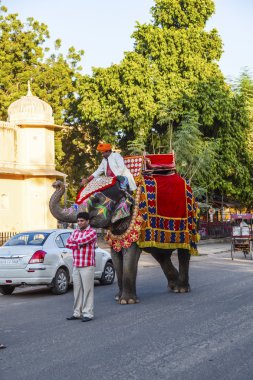 jaipur kale turist ile fil