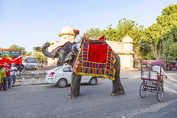 Слон в форте Джайпур с туристами — стоковое фото