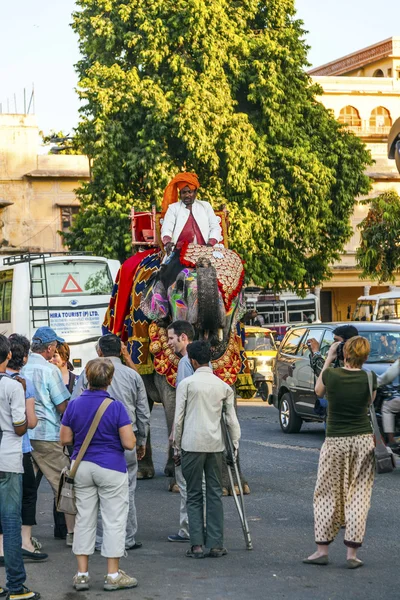 Elefant in der Festung Jaipur mit Touristen — Stockfoto