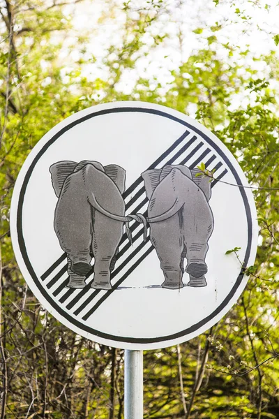 Verkehrszeichen-Elefanten verliebt — Stockfoto