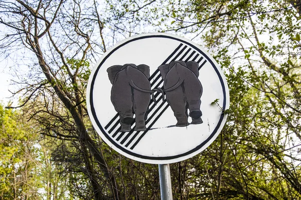 Sinal de trânsito elefantes no amor — Fotografia de Stock