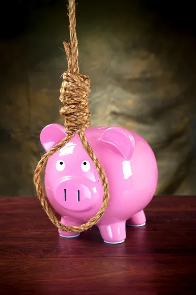 Piggybank and noose — Stock Photo, Image