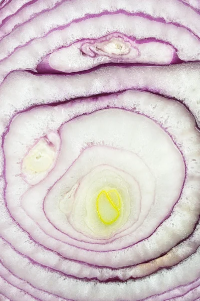 Onion halve — Stock Photo, Image