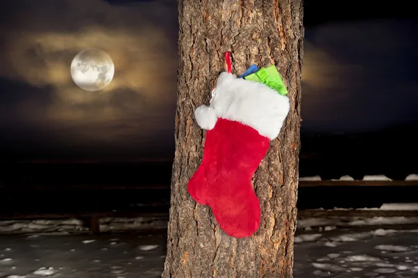 Christmas stocking op pine tree — Stockfoto