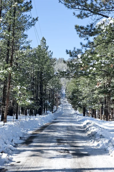 Sneeuw overdekte weg — Stockfoto
