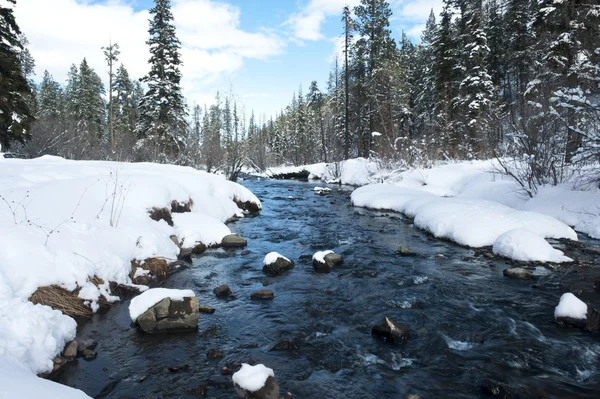 Snowy river — Stockfoto