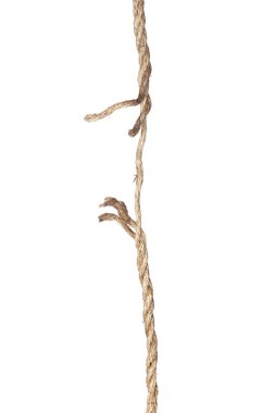 Frayed rope clipart