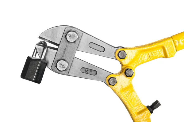 Bolt cutters on white — Stockfoto