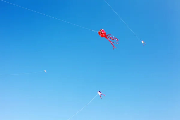 Japanese paper kite — Stock Photo, Image