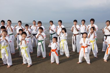 Karate sports clipart