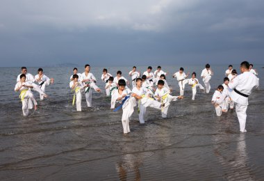 Karate spor