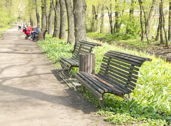 Bench on the footpath in the lush green garden — Stock Photo, Image
