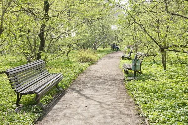 Bench on the footpath in the lush green garden — Stock Photo, Image