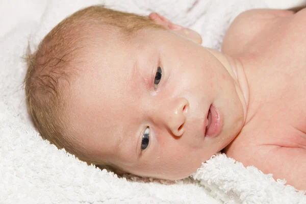 stock image Newborn infant after bath