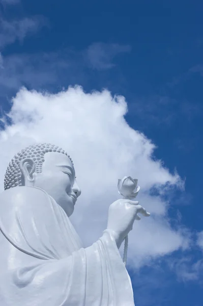 Bouddha blanc . Image En Vente