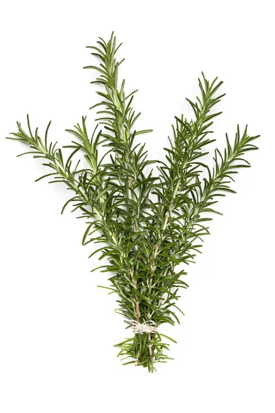Bunch of Rosemary over White — Stock Photo, Image