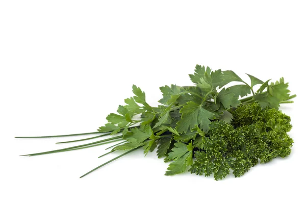 Parsley and Chives — Stock Photo, Image