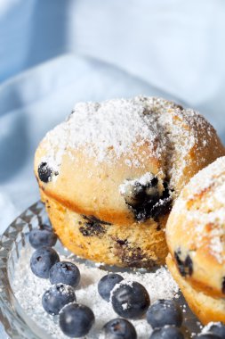 Blueberry Muffins clipart