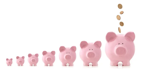 Investment Growth - Piggy Banks — Stock Photo, Image