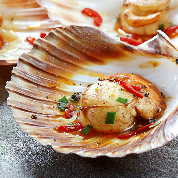 Scallops