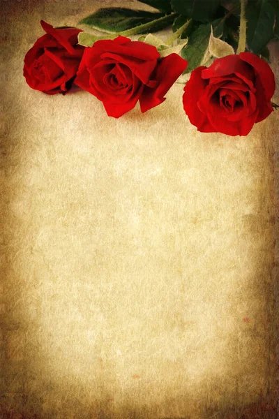 Tři červené růže nad grunge pozadí — Stock fotografie
