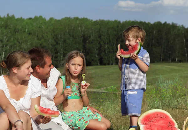 食物と一緒に屋外家族ピクニック — ストック写真