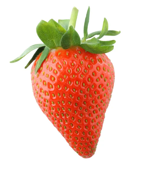 Reife Erdbeeren auf weißem Hintergrund — Stockfoto