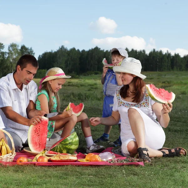 Aileler piknik açık havada yemek ile — Stok fotoğraf