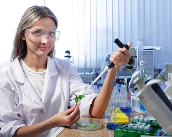 美科学家在化学实验室 — 图库照片