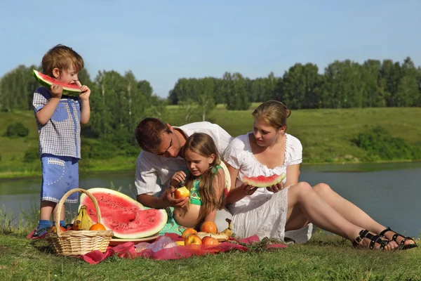 Famílias piquenique ao ar livre com alimentos — Fotografia de Stock