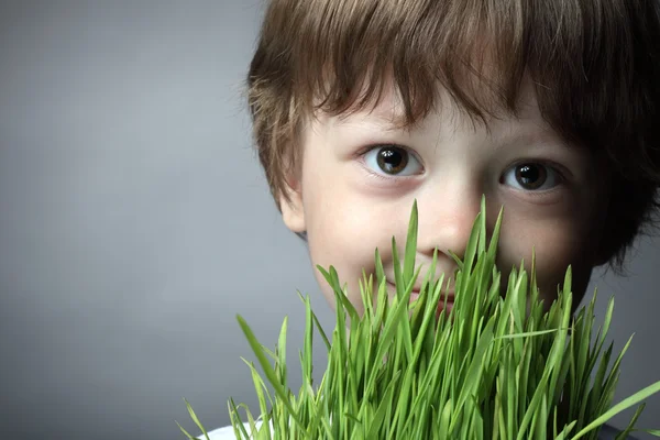 Boy with grass, studio shot — Stock Photo, Image