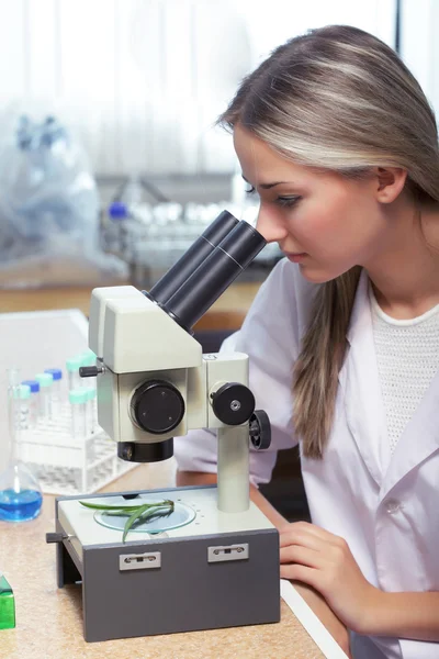 Beauty scientist in laboratorio chimico — Foto Stock