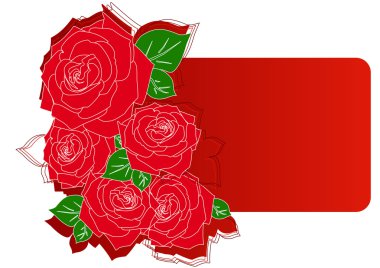 kırmızı gül ile tebrik kartı