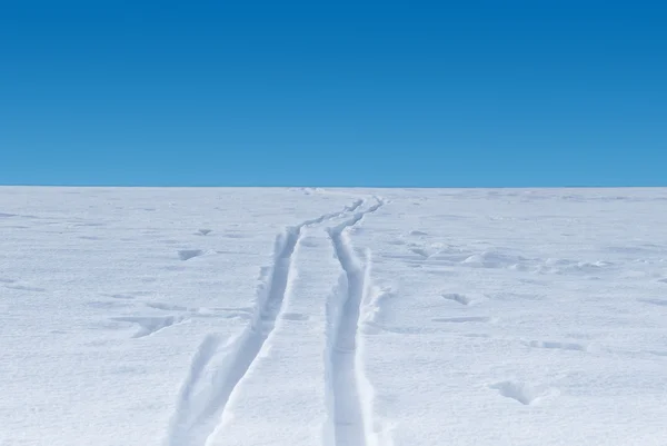 Ski traces — Stock Photo, Image